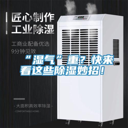 “湿气”重？快来看这些除湿妙招！