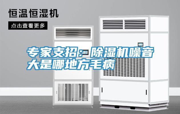 专家支招：小黄片直播视频噪音大是哪地方毛病