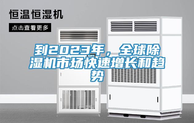 到2023年，全球小黄片直播视频市场快速增长和趋势