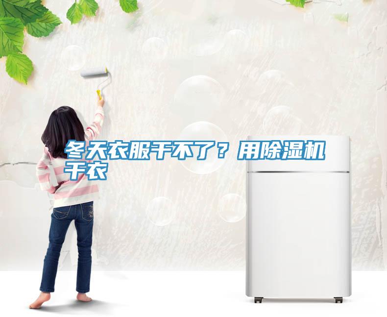 冬天衣服干不了？用小黄片直播视频干衣