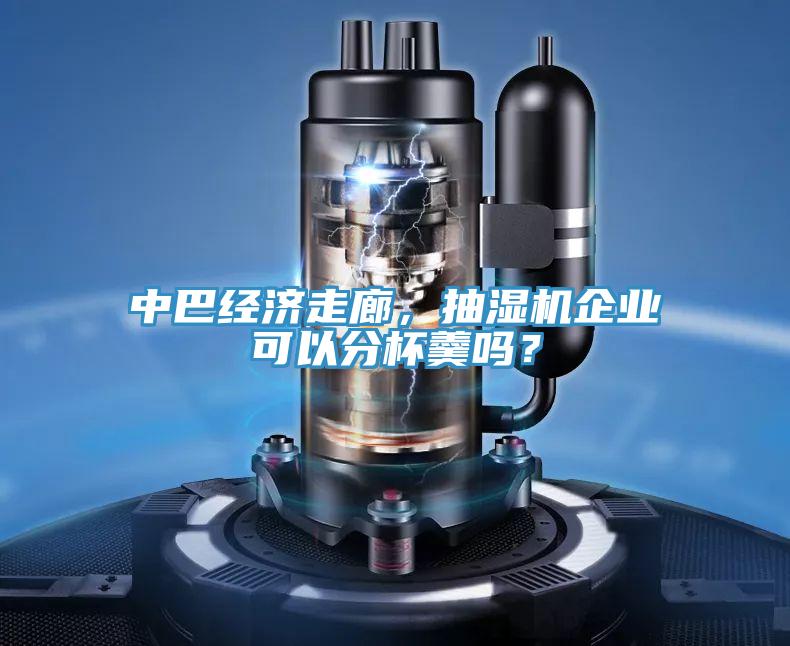 中巴经济走廊，抽湿机企业可以分杯羹吗？