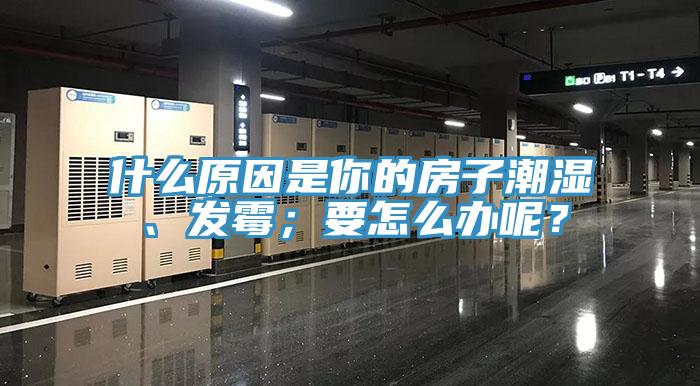什么原因是你的房子潮湿、发霉；要怎么办呢？