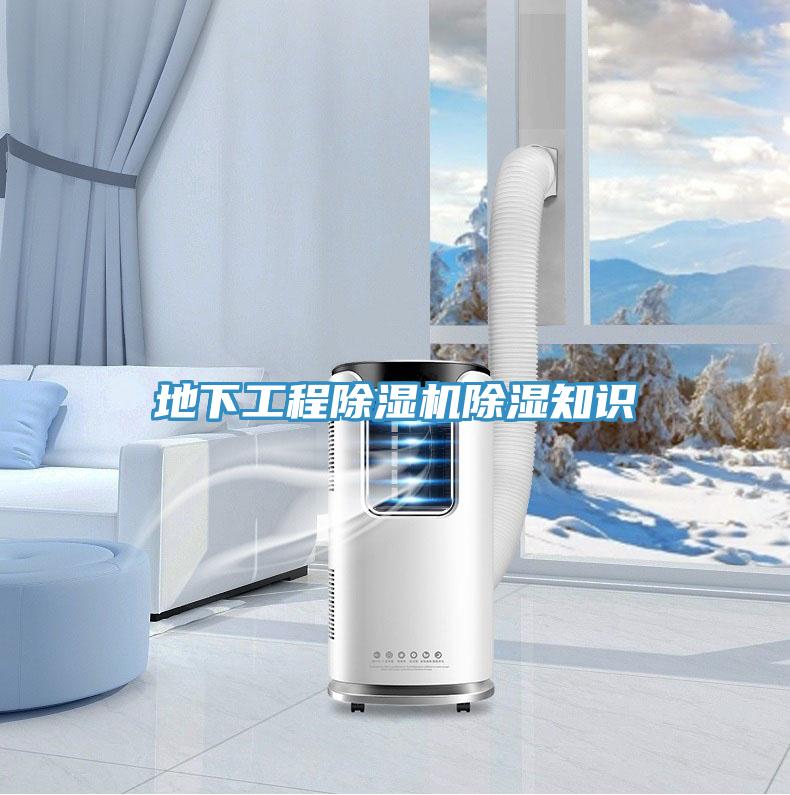 地下工程小黄片直播视频除湿知识