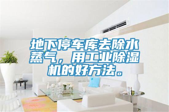 地下停车库去除水蒸气，用工业小黄片直播视频的好方法。