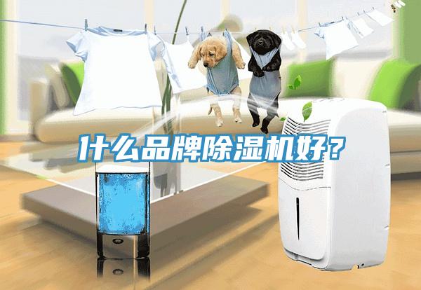 什么品牌小黄片直播视频好？