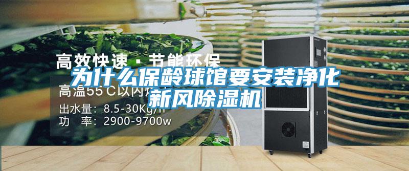 为什么保龄球馆要安装净化新风小黄片直播视频