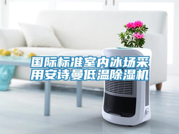 国际标准室内冰场采用午夜小黄片APP低温小黄片直播视频
