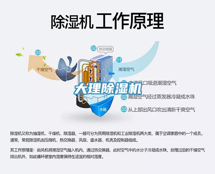 大理小黄片直播视频