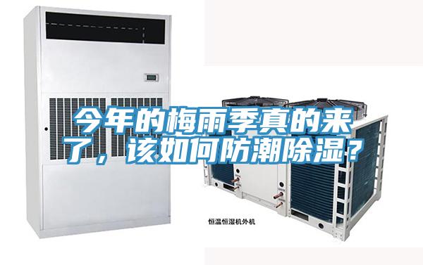 今年的梅雨季真的来了，该如何防潮除湿？