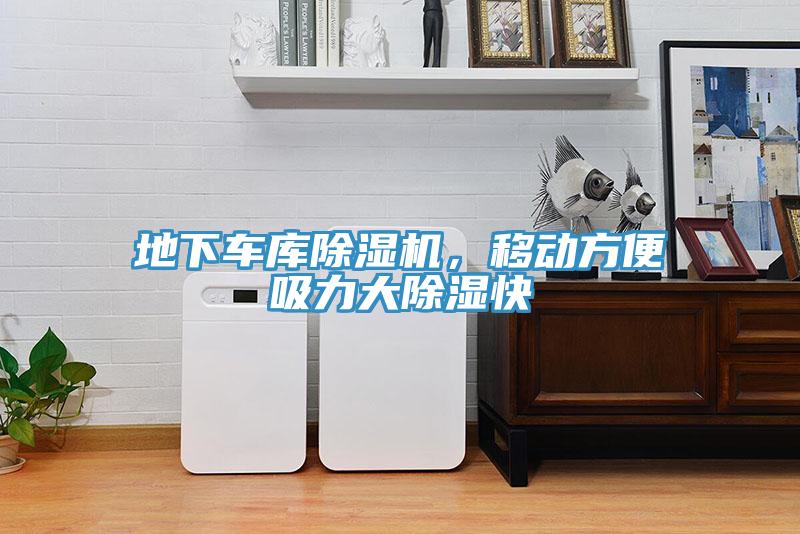 地下车库小黄片直播视频，移动方便吸力大除湿快