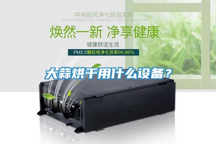 大蒜烘干用什么设备？