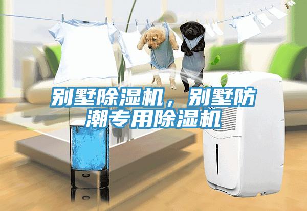 别墅小黄片直播视频，别墅防潮专用小黄片直播视频