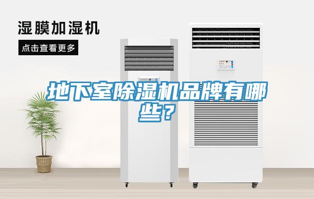地下室小黄片直播视频品牌有哪些？