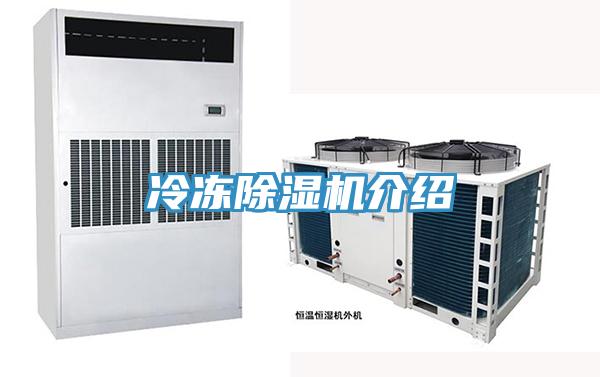 冷冻小黄片直播视频介绍