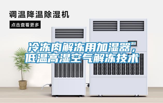 冷冻肉解冻用加湿器，低温高湿空气解冻技术