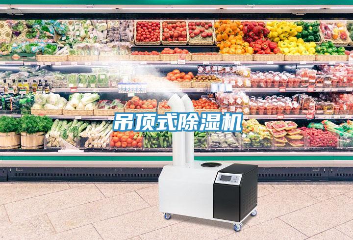 吊顶式小黄片直播视频
