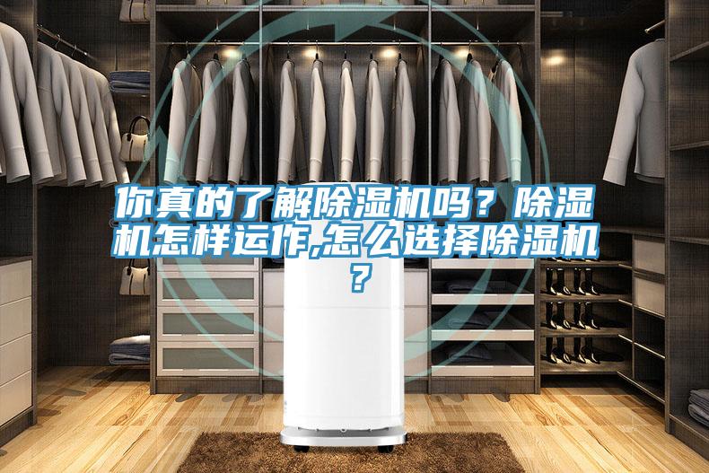 你真的了解小黄片直播视频吗？小黄片直播视频怎样运作,怎么选择小黄片直播视频？