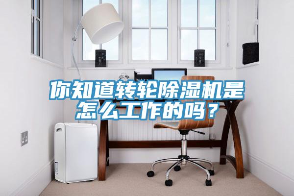 你知道转轮小黄片直播视频是怎么工作的吗？