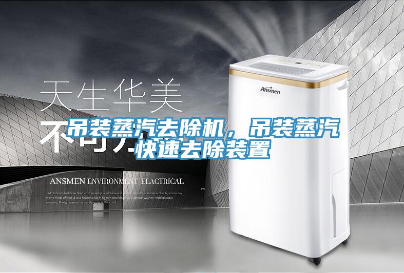 吊装蒸汽去除机，吊装蒸汽快速去除装置