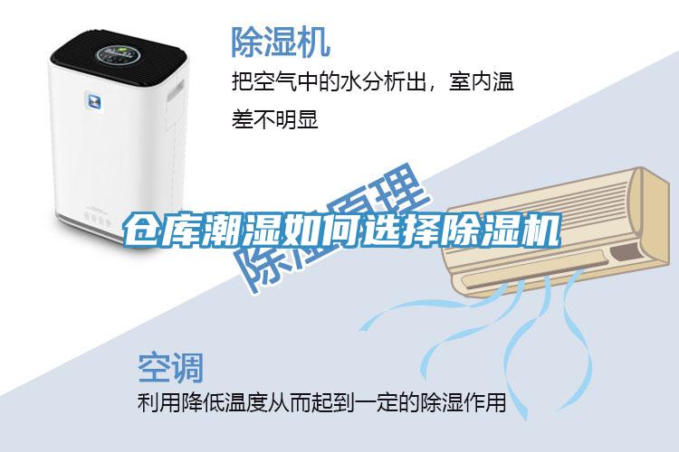 仓库潮湿如何选择小黄片直播视频