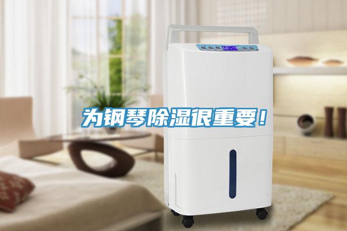 为钢琴除湿很重要！