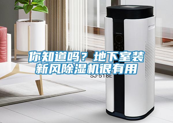 你知道吗？地下室装新风小黄片直播视频很有用