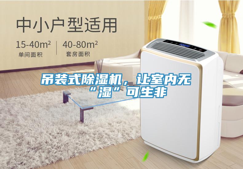 吊装式小黄片直播视频，让室内无“湿”可生非