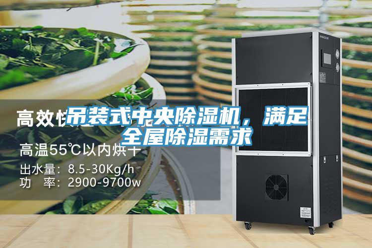 吊装式中央小黄片直播视频，满足全屋除湿需求