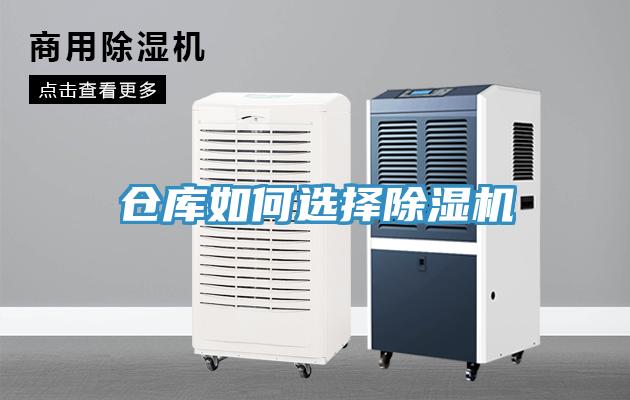 仓库如何选择小黄片直播视频