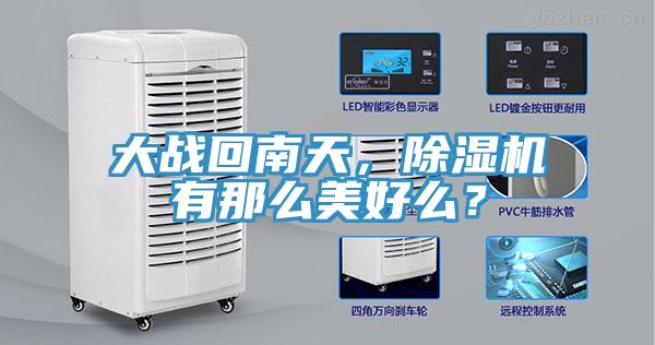大战回南天，小黄片直播视频有那么美好么？