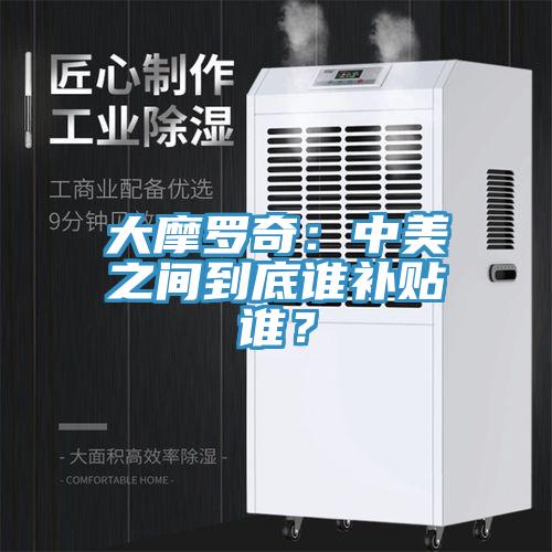 大摩罗奇：中美之间到底谁补贴谁？