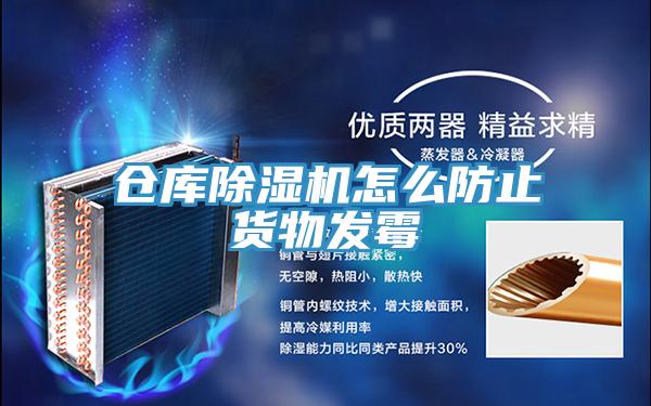 仓库小黄片直播视频怎么防止货物发霉