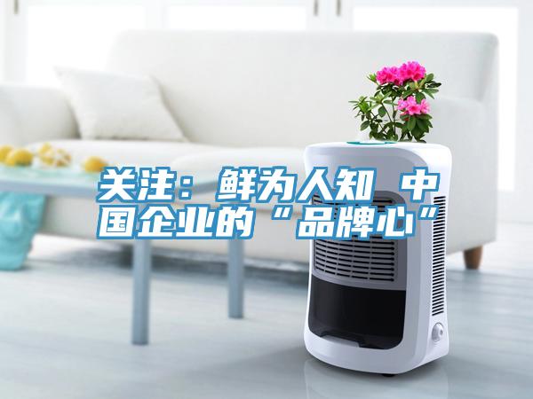 关注：鲜为人知 中国企业的“品牌心”