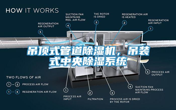 吊顶式管道小黄片直播视频，吊装式中央除湿系统