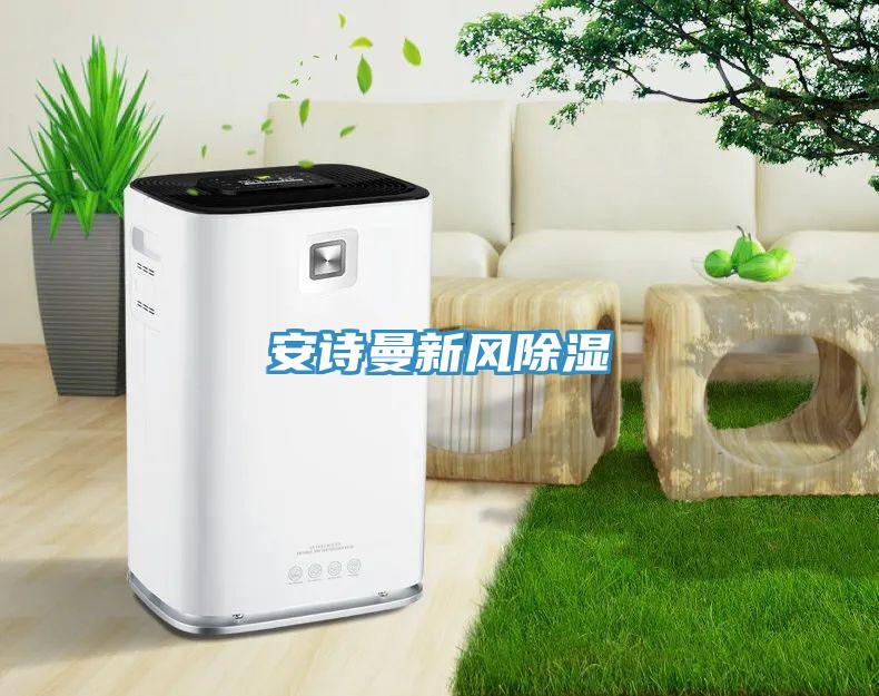 午夜小黄片APP新风除湿
