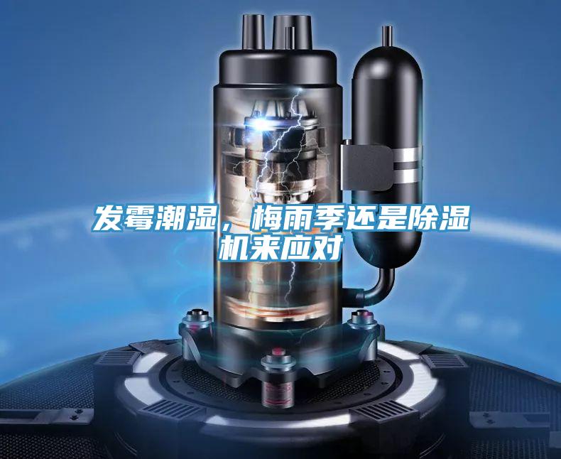 发霉潮湿，梅雨季还是小黄片直播视频来应对