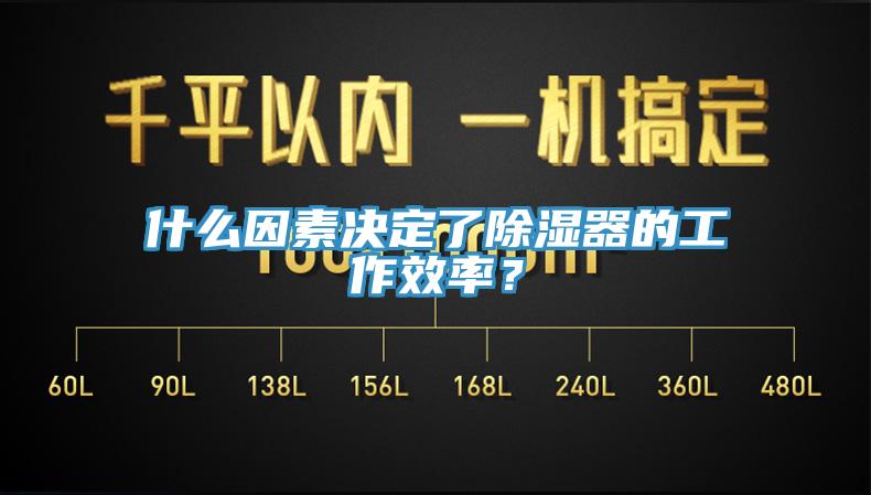 什么因素决定了除湿器的工作效率？