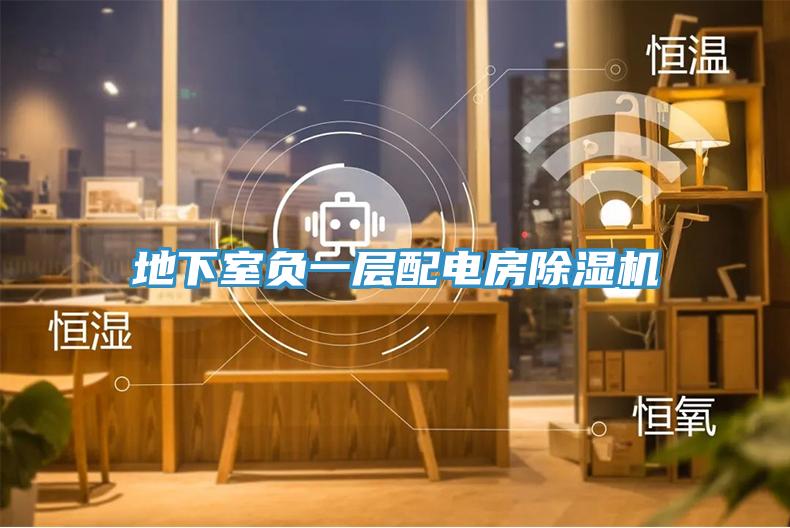 地下室负一层配电房小黄片直播视频