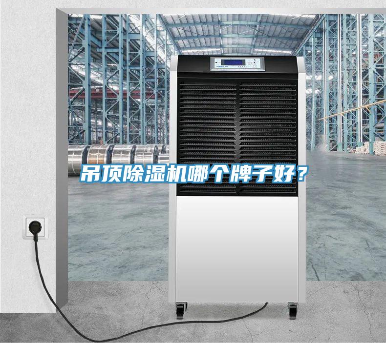 吊顶小黄片直播视频哪个牌子好？