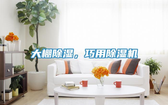 大棚除湿，巧用小黄片直播视频
