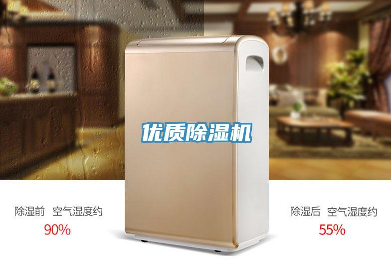 优质小黄片直播视频