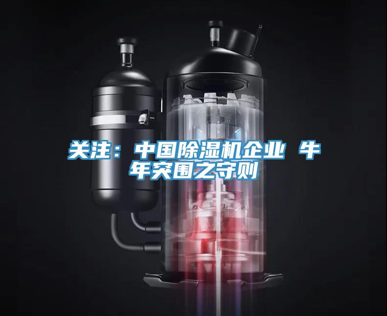 关注：中国小黄片直播视频企业 牛年突围之守则