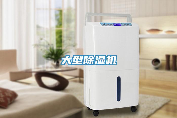 大型小黄片直播视频