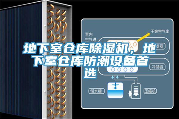 地下室仓库小黄片直播视频，地下室仓库防潮设备首选