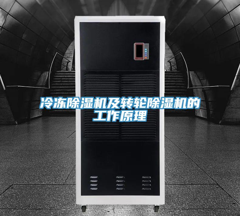 冷冻小黄片直播视频及转轮小黄片直播视频的工作原理