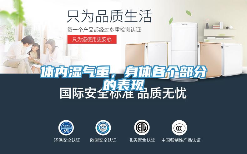 体内湿气重，身体各个部分的表现