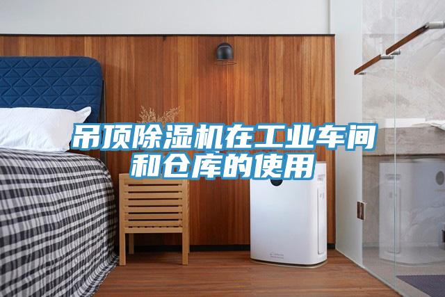 吊顶小黄片直播视频在工业车间和仓库的使用
