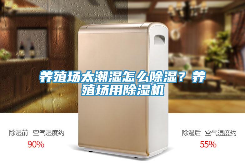 养殖场太潮湿怎么除湿？养殖场用小黄片直播视频