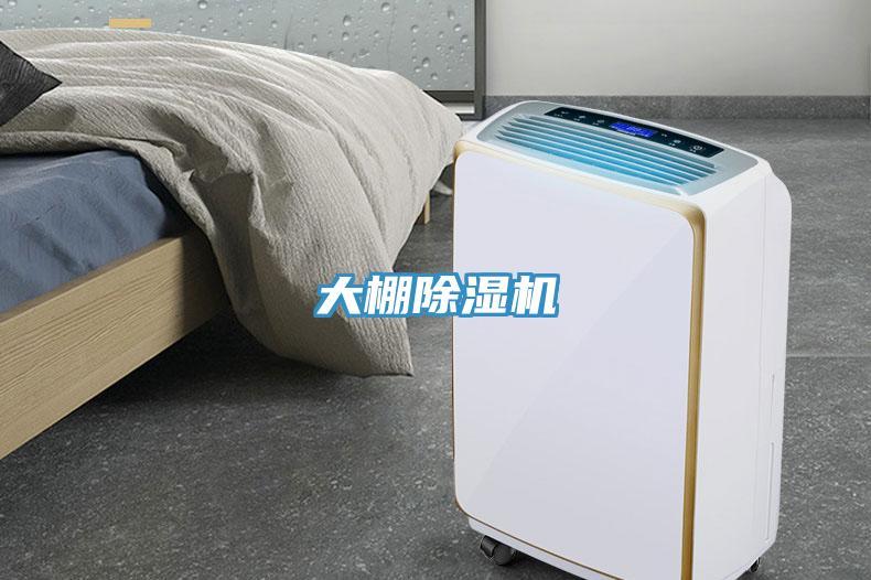 大棚小黄片直播视频
