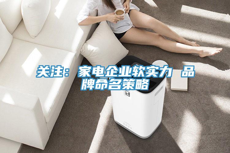 关注：家电企业软实力 品牌命名策略
